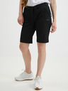 ALPINE PRO Brela Shorts