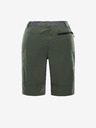 ALPINE PRO Zamb Shorts