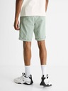 Celio Bochinobm Shorts