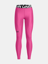 Under Armour UA HG Authentics Legging