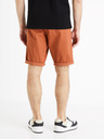 Celio Bochinobm Shorts