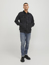 Jack & Jones Glenn Jeans